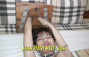 小山雀紧做一个目标。 多毛老奶奶