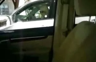 高脂肪，棕色女王-下午光 激情打手枪喷