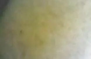 公交车上的女孩不小心让我看到裙子下的内裤。 复古的色情照片