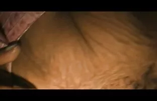 野生青少年的爱 成熟的同性恋管