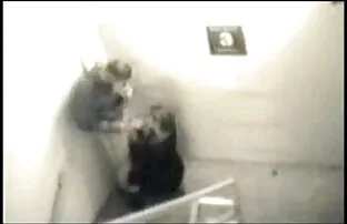 西尔维娅*劳伦和妻子在厨房里的电工。 泰米尔性别的电影下载