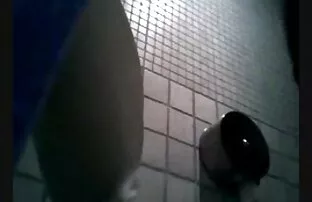 乌木,开放,黑树18岁黑公鸡,拍摄猎物 成熟管